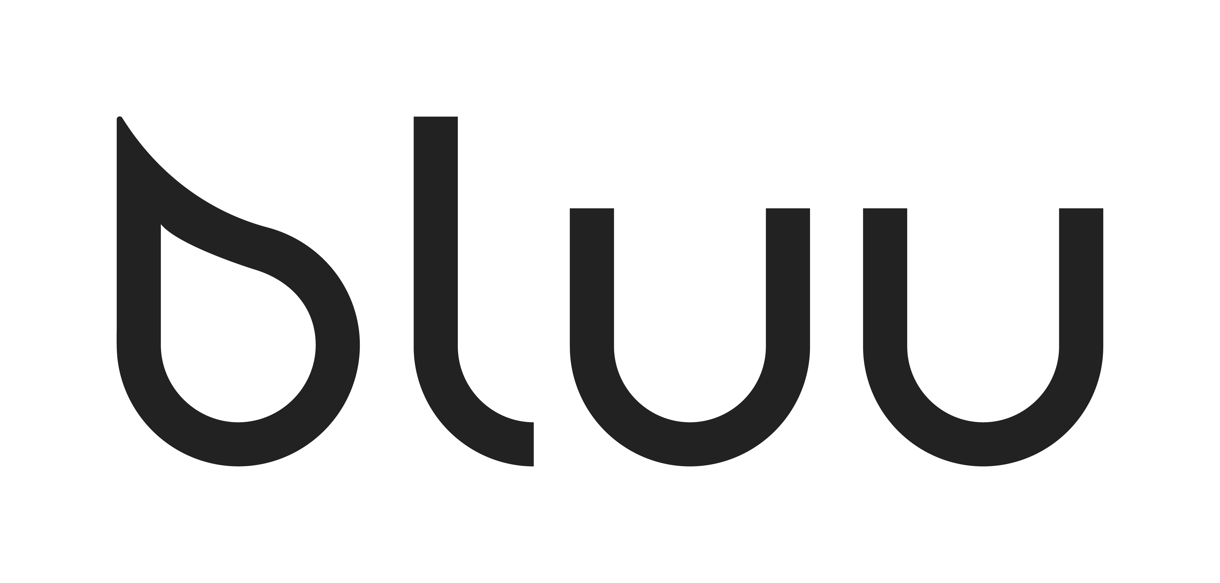 Bluu Logo szare